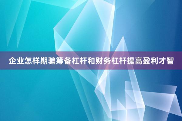 企业怎样期骗筹备杠杆和财务杠杆提高盈利才智