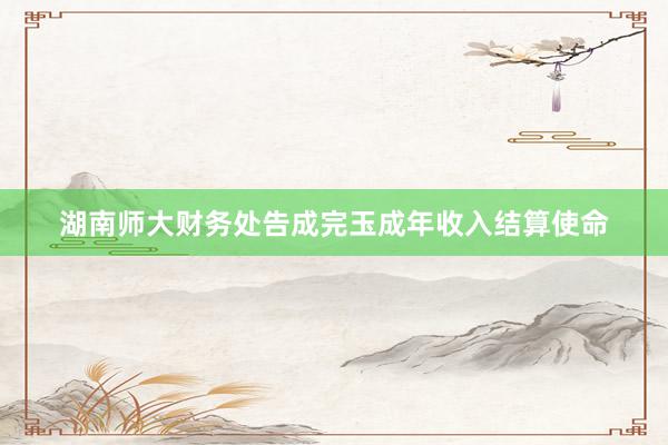 湖南师大财务处告成完玉成年收入结算使命