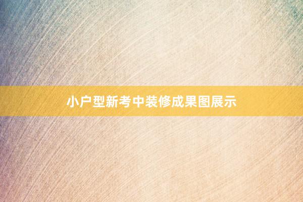 小户型新考中装修成果图展示