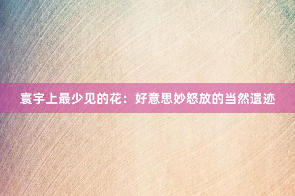 寰宇上最少见的花：好意思妙怒放的当然遗迹
